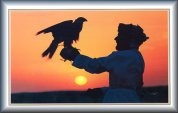 Click image for large version.